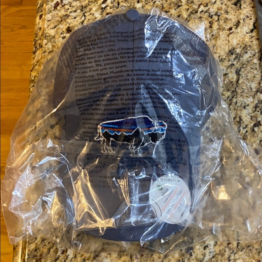 Buffalo Patagonia hat